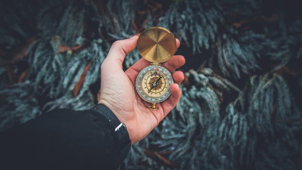 How Your Values Drive Daily Choices: A Practical Guide